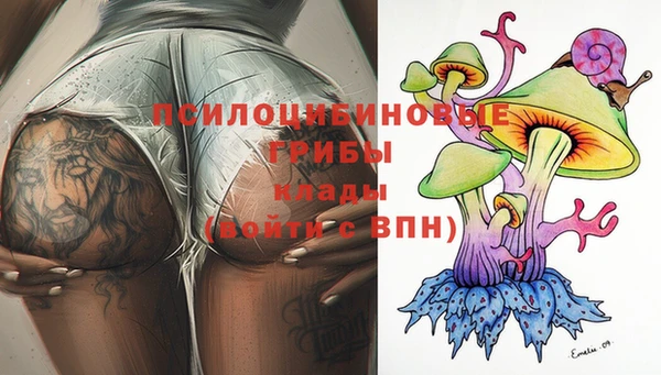 тгк Новокубанск