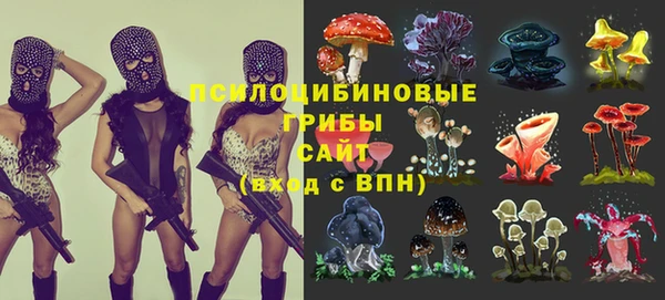 COCAINE Новодвинск