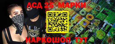 гашик Жуковский