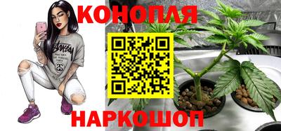 метадон Заводоуковск