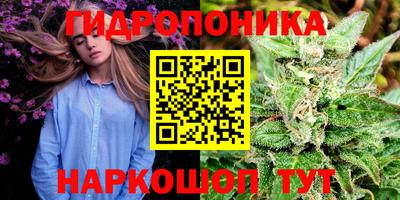 гидра Заволжье