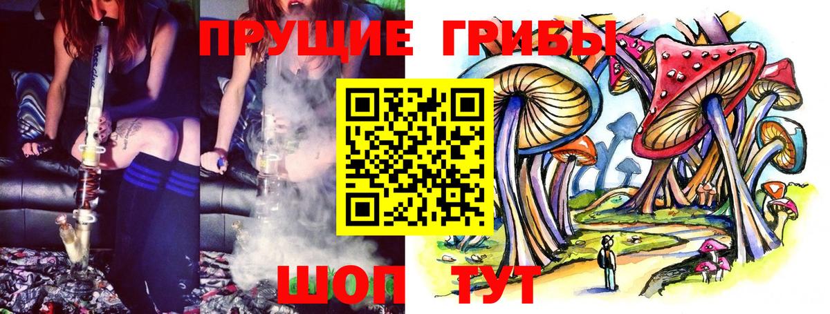 Псилоцибиновые грибы GOLDEN TEACHER Рассказово