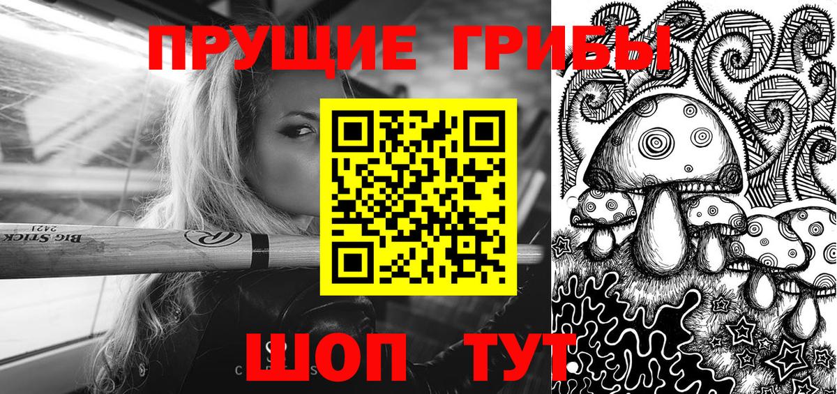 Галлюциногенные грибы мицелий  Рассказово  Псилоцибиновые грибы прущие грибы 