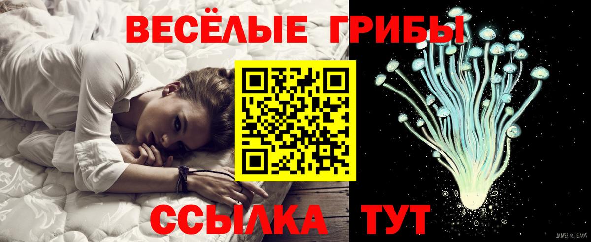 Псилоцибиновые грибы мицелий  Вход с VPN  Рассказово 